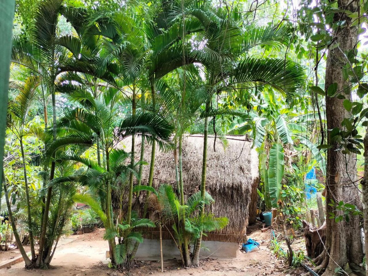 Apartamento Jungle House Kep Exterior foto
